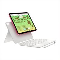 【询客服同城送】Apple iPad 10.9英寸 WLAN版平板电脑（2022年款）【晒单赠移动电源】
