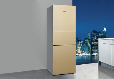 2019冰箱质量排行榜_海尔BCD 301WD 301升多门冰箱 银灰色 冰箱产品图片4