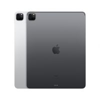 Apple iPad Pro 12.9英寸 WLAN版 平板电脑（2021年款）