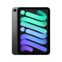 Apple iPad mini  8.3英寸 WLAN版平板电脑（2021年款）