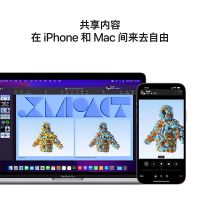 Apple MacBook Pro13英寸笔记本 M2芯片 Z16S00025(深空灰)【2022定制款】