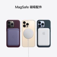 Apple iPhone13 Pro Max (A2644) 全网通双卡双待5G手机