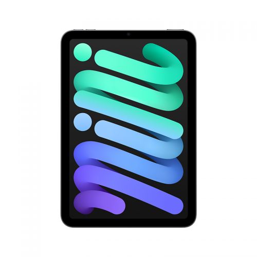 Apple iPad mini  8.3英寸 WLAN版平板电脑（2021年款）