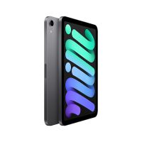 Apple iPad mini  8.3英寸 WLAN版平板电脑（2021年款）
